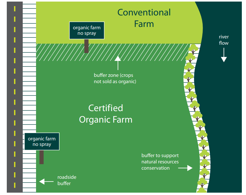 Can GMOs be used in Organic Products