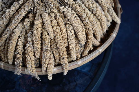 Glutinous Millet vs Hulled Millet