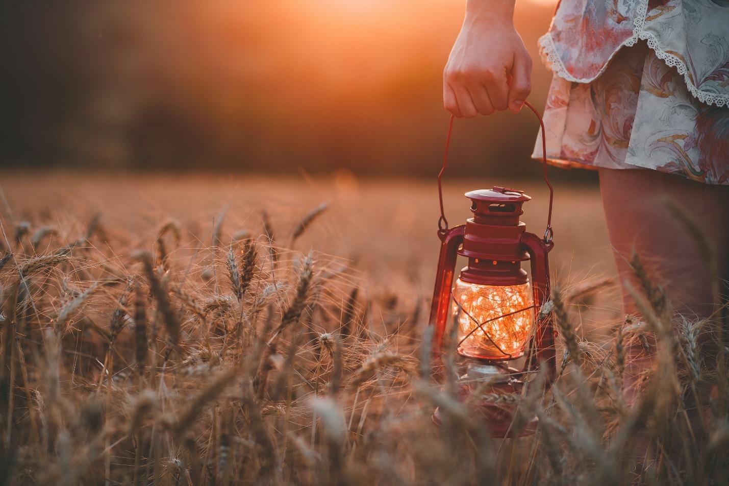 A person in an oat field