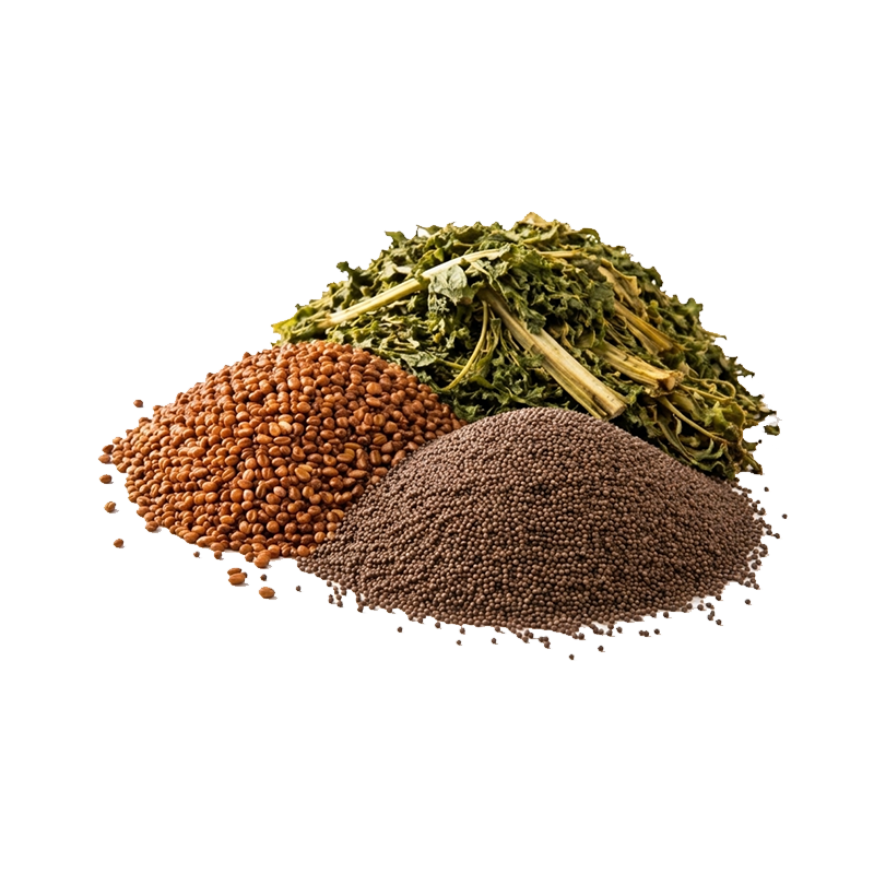 Organic Processed