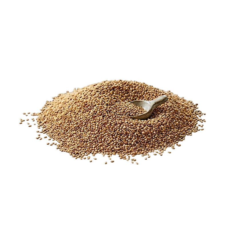 Organic Roasted Sesame