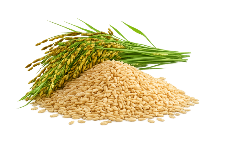 Organic Brown Rice