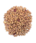 SFMart McCabe Organic Cranberry Bean 2lbs Bean & Lentil- SFMart