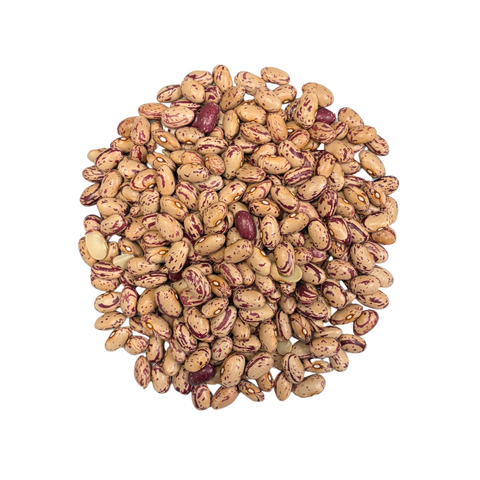 SFMart McCabe Organic Cranberry Bean 2lbs Bean & Lentil- SFMart