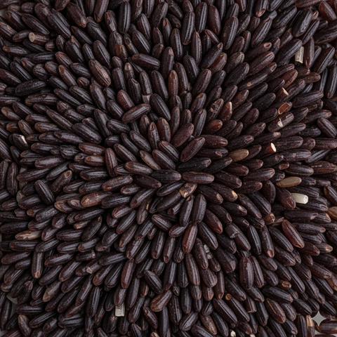 SFMart McCabe Organic Black Rice, 12lbs Grain & Rice- SFMart