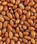 SFMart McCabe Organic 7030 (Brown Rice & Brown Sweet Rice) 12lbs Grain & Rice- SFMart