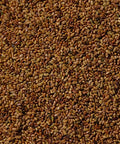 SFMart McCabe Organic Alfalfa Sprouting Seeds (1lb) Sprouting Seeds- SFMart