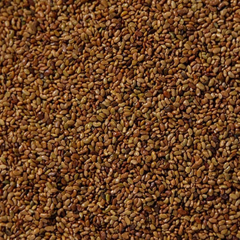 SFMart McCabe Organic Alfalfa Sprouting Seeds (1lb) Sprouting Seeds- SFMart