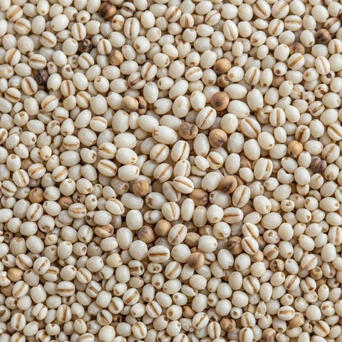 McCabe Organic Baby Pearled Barley (쌀보리) 3lbs