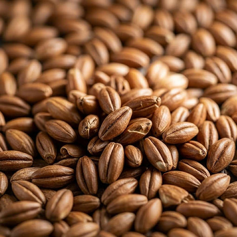 McCabe Organic Barley Tea 유기농 보리차 2lbs