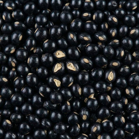 SFMart McCabe Organic Black Bean (서목태) 2lbs Bean & Lentil- SFMart