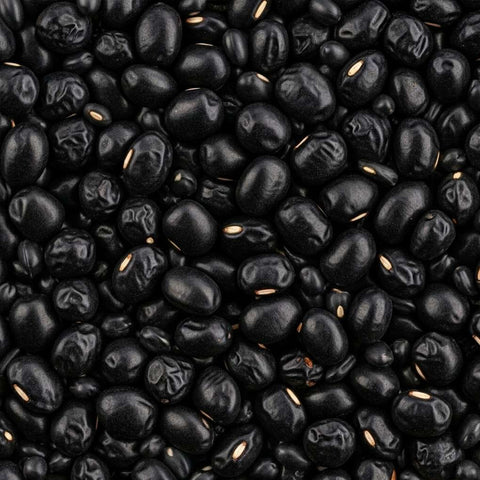 SFMart McCabe Organic Black Bean (서안태) 2lbs Bean & Lentil- SFMart