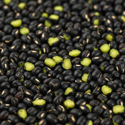 SFMart McCabe Organic Black Bean Green (서리태) 2lbs Bean & Lentil- SFMart