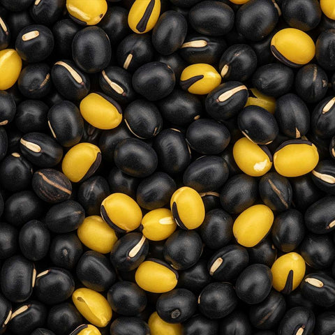 SFMart McCabe Organic Black Bean w/Yellow (검정콩) 2lbs Bean & Lentil- SFMart