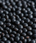 SFMart McCabe Organic Black Lentils, 1lb Bean & Lentil- SFMart