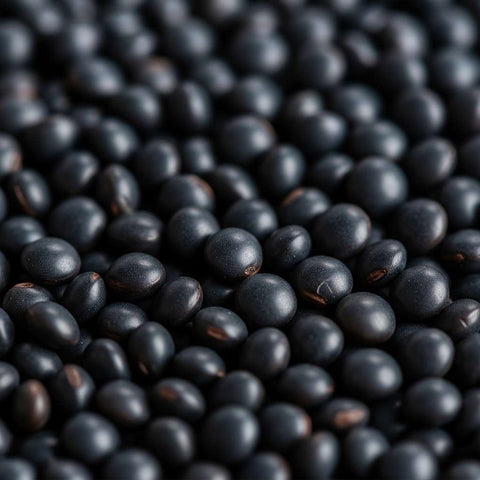 SFMart McCabe Organic Black Lentils, 1lb Bean & Lentil- SFMart