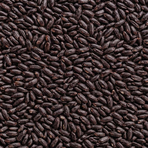 SFMart McCabe Organic Black Rice 3lbs Grain & Rice- SFMart