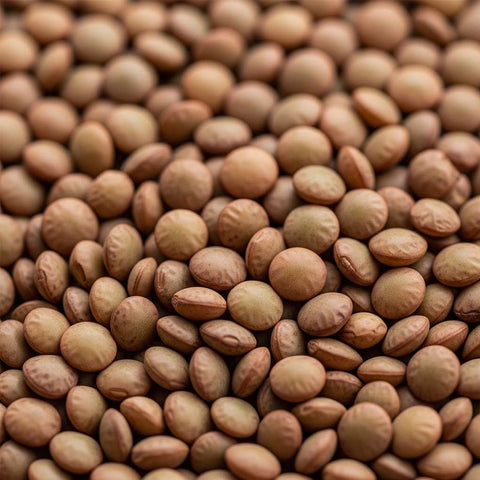 SFMart McCabe Organic Brown Lentils, 1lb Bean & Lentil- SFMart