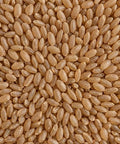 SFMart McCabe Organic Brown Rice, 12lbs Grain & Rice- SFMart