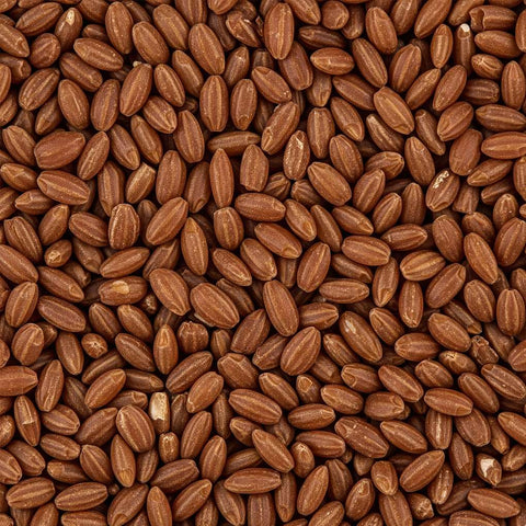 SFMart McCabe Organic Brown Rice 3lbs Grain & Rice- SFMart