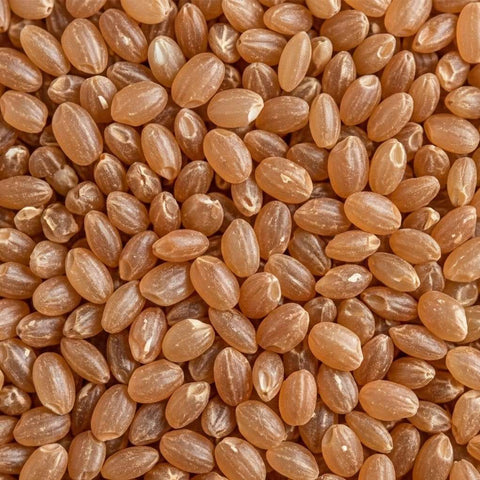 McCabe Organic Brown Sweet Rice, 12lbs