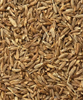 SFMart McCabe Organic Caraway Sprouting Seeds for Microgreens (1lb) Sprouting Seeds- SFMart