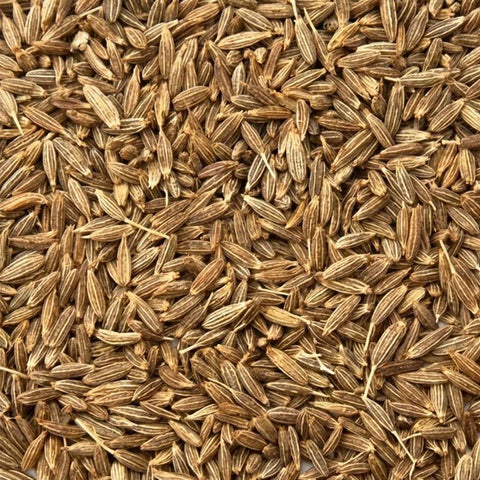 SFMart McCabe Organic Caraway Sprouting Seeds for Microgreens (1lb) Sprouting Seeds- SFMart