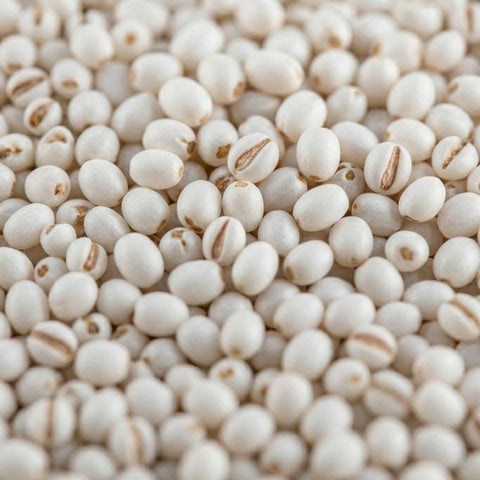 McCabe Organic Coix Seed (Job's Tear), 2 lbs