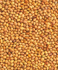 SFMart McCabe Organic Crimson Clover Sprouting Seeds (1lb) Sprouting Seeds- SFMart