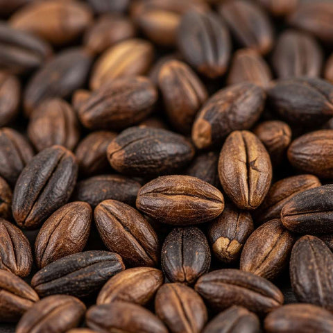 McCabe Organic Dark Roasted Barley Tea (유기농 진한 보리차) 1.5 lbs