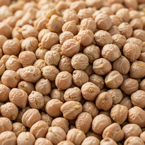 SFMart McCabe Organic Garbanzo Bean 2 lbs Bean & Lentil- SFMart