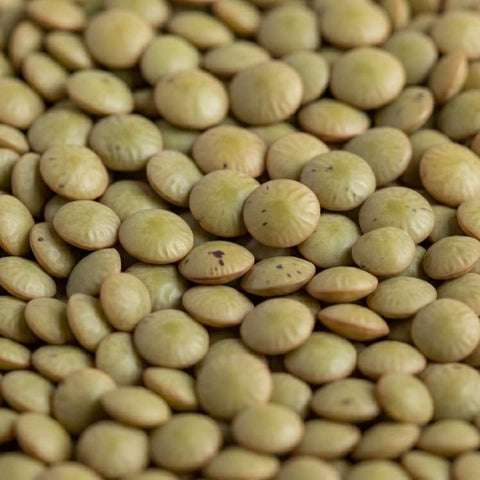 SFMart McCabe Organic Green Lentils, 1-Pound Bean & Lentil- SFMart