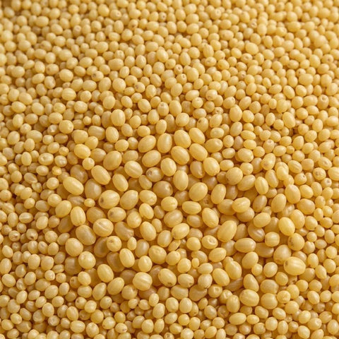 SFMart McCabe Organic Hulled Millet, 2lbs Grain & Rice- SFMart