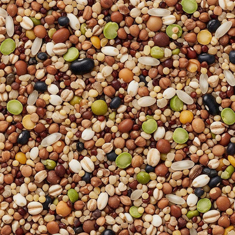 McCabe Organic Mixed Rice 3lbs