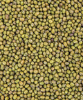 SFMart McCabe Organic Mung Bean Sprouting Seeds (1lb) Sprouting Seeds- SFMart
