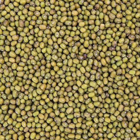 SFMart McCabe Organic Mung Bean Sprouting Seeds (1lb) Sprouting Seeds- SFMart