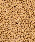 SFMart McCabe Organic Pressed Barley 2lbs Grain & Rice- SFMart