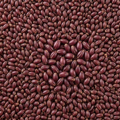 McCabe Organic Purple Barley (유기농 자색 보리) 2lb