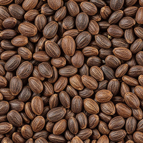 McCabe Organic Raw Perilla Seeds (유기농들깨) 1.5lb