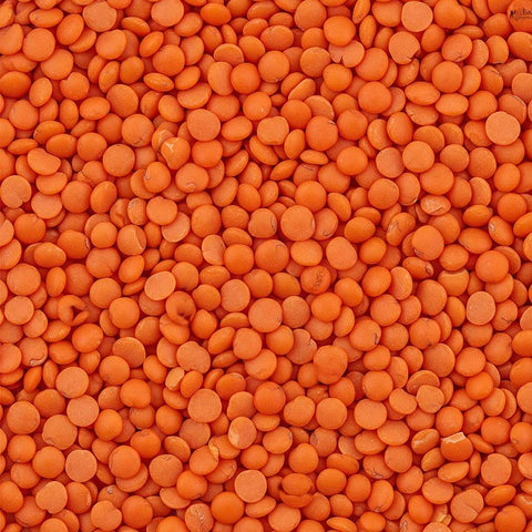 SFMart McCabe Organic Red Lentils, 1-Pound Bean & Lentil- SFMart