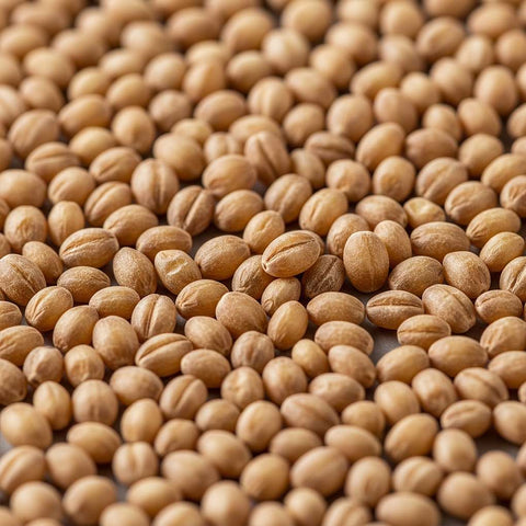 McCabe Organic Regular Pearled Barley (통보리) 3lbs