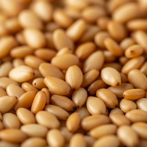 McCabe Organic Roasted Sesame (8oz)