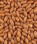 SFMart McCabe Organic Rye Berries, 2lbs Grain & Rice- SFMart