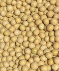 SFMart McCabe Organic Soy Bean 3lbs Bean & Lentil- SFMart