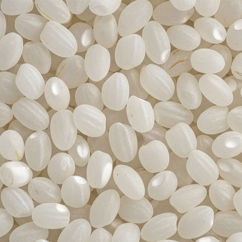 SFMart McCabe Organic Sweet Rice, 12lbs Grain & Rice- SFMart