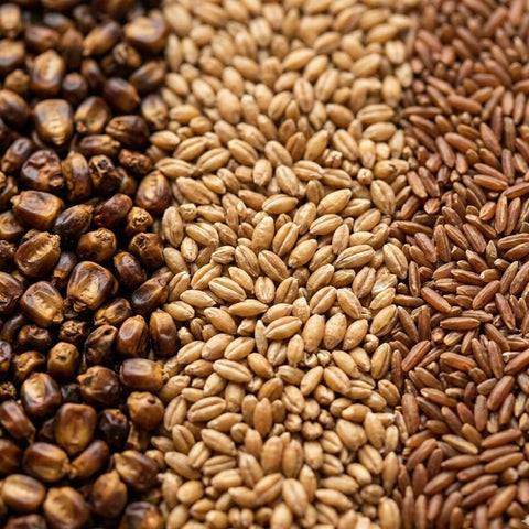 McCabe Organic Tea, (3-Pack) (1.5lbs Corn Tea, 1.5lbs Barley Tea, and 2lbs Brown Rice Tea)