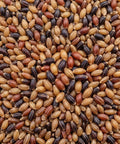 SFMart McCabe Organic Tri-Color Barley(삼색보리) 2lbs Grain & Rice- SFMart