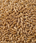 SFMart McCabe Organic Whole Oat Groats, 2lbs Grain & Rice- SFMart