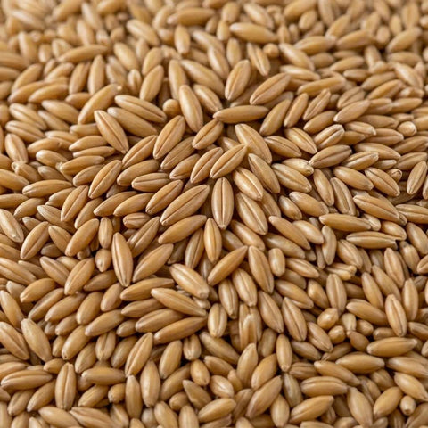 McCabe Organic Whole Oat Groats, 2lbs