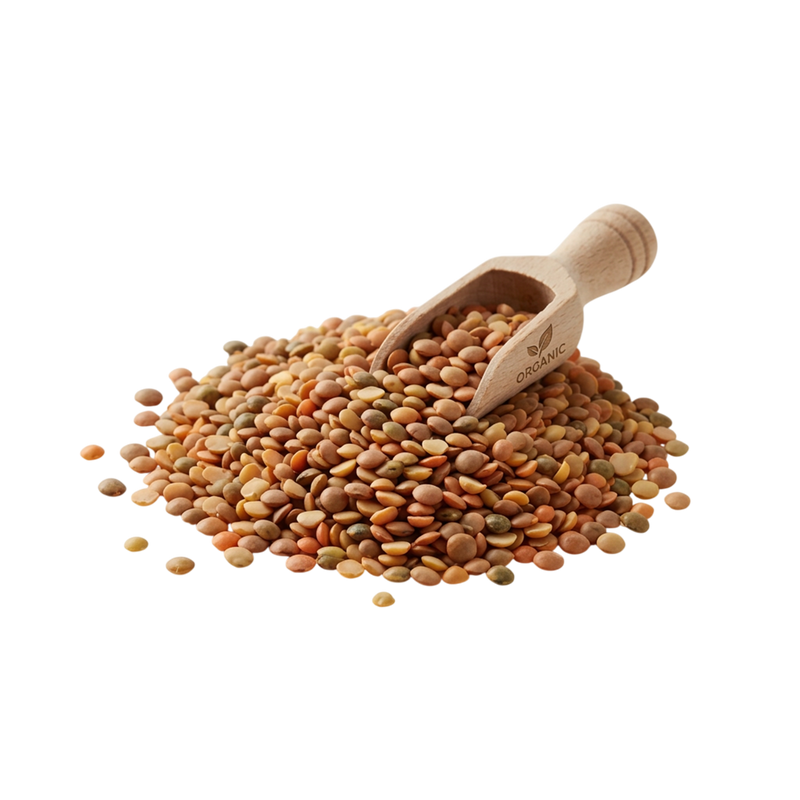Organic Lentil